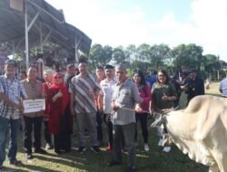 Pemerintah Kota Manado Serahkan Hewan Qurban Dalam Rangka Hari Raya Idul Adha