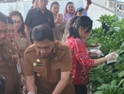 Didampingi Sekda Micler Lakat, PJS Walikota Manado Clay Dondokambey Panen Berbagai Jenis Sayuran yang Ditanam di Pot-pot Roof Top