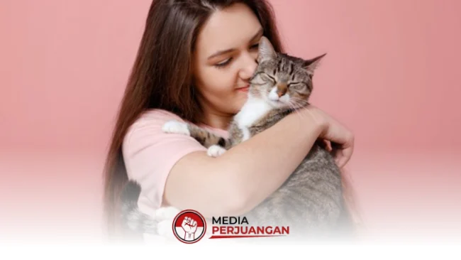 Mengungkap Rahasia Ilmiah di Balik Ikatan Tak Terpisahkan Manusia dan Kucing Peliharaan