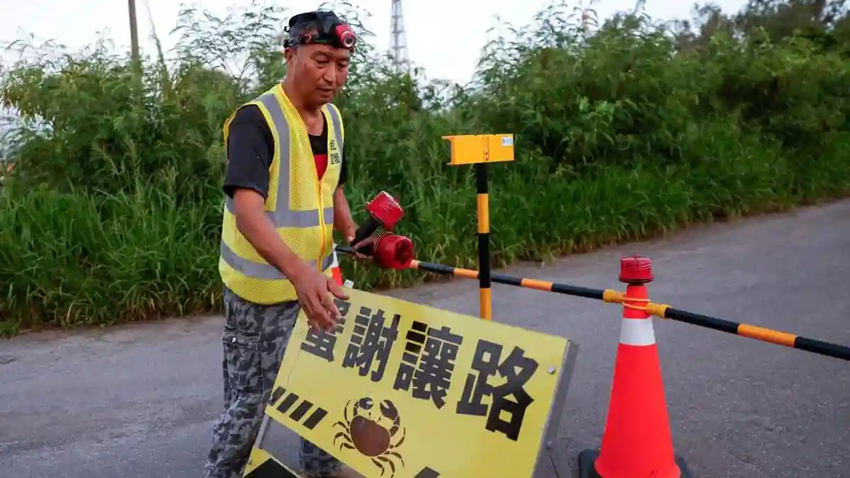 Jalan Diblokir Demi Kepiting: Aksi Heroik Selamatkan Migrasi Hewan Langka di Tainan