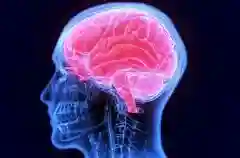 Terobosan Baru Penyakit Stroke: Alat Canggih Thunderbolt Raih Restu FDA AS