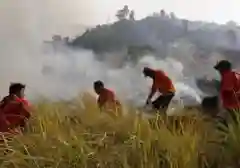 Savana Tambora Mengamuk: 1.956 Hektare Lahan Terbakar, Tim Gabungan Berjibaku Padamkan Api