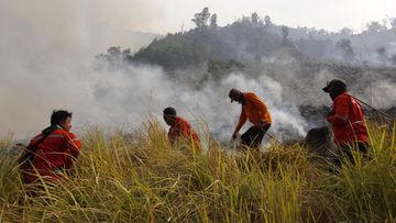 Savana Tambora Mengamuk: 1.956 Hektare Lahan Terbakar, Tim Gabungan Berjibaku Padamkan Api