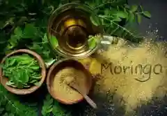 Ramuan Ajaib dari Dapur: Air Rebusan Daun Kelor, Khasiatnya Ampuh untuk Jantung dan Otak Anda!
