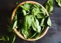 Rahasia Otak Tajam: 8 Superfood Pilihan untuk Daya Ingat Optimal