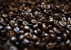 Sensasi Nusantara di Papan Atas Dunia: Kopi Indonesia Dinobatkan Sebagai Salah Satu Terbaik Global 2026