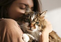Lebih dari Sekadar Elusan: 7 Bahasa Cinta Kucing yang Jarang Disadari Pemiliknya