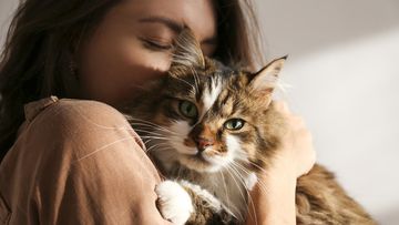 Lebih dari Sekadar Elusan: 7 Bahasa Cinta Kucing yang Jarang Disadari Pemiliknya