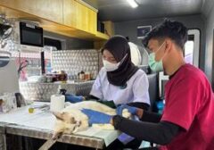 Jakarta Siagakan Klinik Hewan Keliling: Solusi Kesehatan Hewan Peliharaan Terjangkau di Lima Wilayah