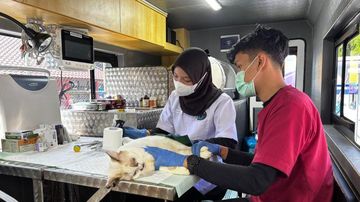 Jakarta Siagakan Klinik Hewan Keliling: Solusi Kesehatan Hewan Peliharaan Terjangkau di Lima Wilayah