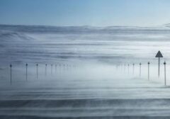 Greenland Bukan Jual Beli, Uni Eropa Tegaskan Kedaulatan Milik Denmark