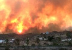 Tragedi Api Melahap Almeria: 11 Tewas, 19 Hilang di Tengah Liburan Spanyol