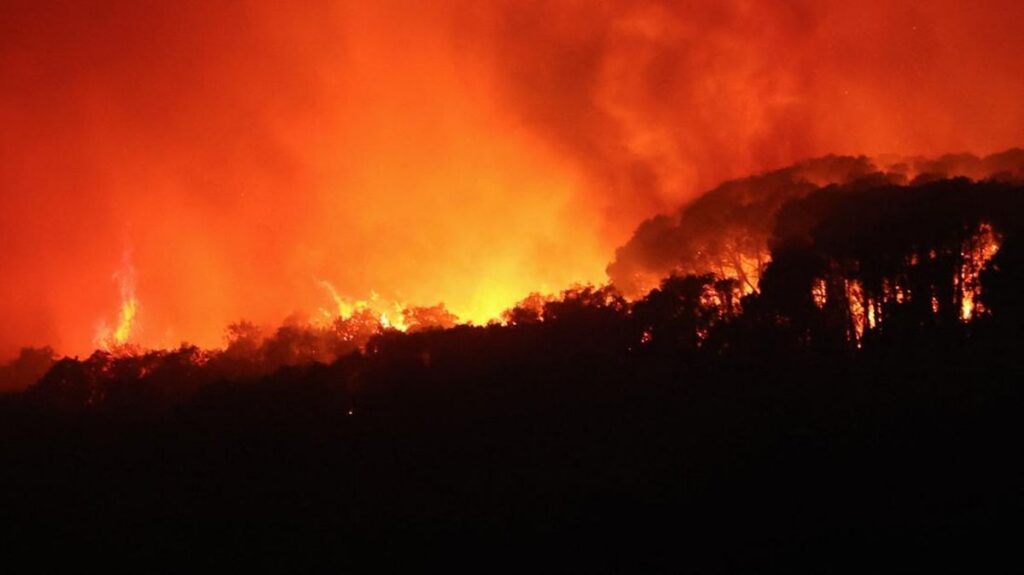 Tragedi Kebakaran Hutan Spanyol: 12 Tewas, 23 Hilang, Jutaan Hektare Lahan Musnah