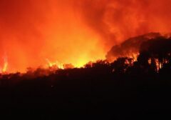 Tragedi Kebakaran Hutan Spanyol: 12 Tewas, 23 Hilang, Jutaan Hektare Lahan Musnah