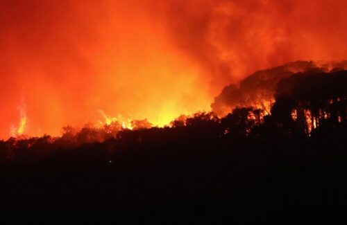 Tragedi Kebakaran Hutan Spanyol: 12 Tewas, 23 Hilang, Jutaan Hektare Lahan Musnah