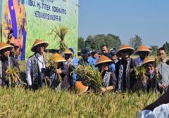 BULOG dan DPR Kompak Gerakkan Ekonomi Petani Klaten Lewat Sinergi Strategis