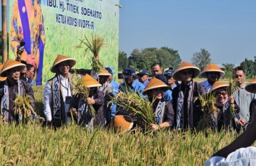 BULOG dan DPR Kompak Gerakkan Ekonomi Petani Klaten Lewat Sinergi Strategis