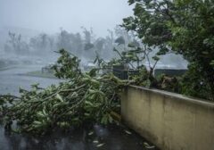 Topan Bavi Menerjang: 14.000 Jiwa di Taiwan Terpaksa Tinggalkan Rumah