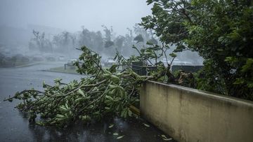 Topan Bavi Menerjang: 14.000 Jiwa di Taiwan Terpaksa Tinggalkan Rumah