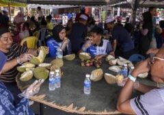 Banjir Musang King, Durian Premium Malaysia Anjlok Hingga Rp39 Ribu/Kg