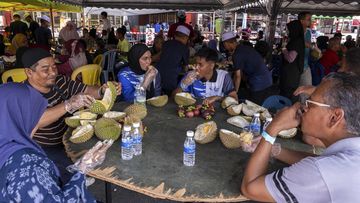 Banjir Musang King, Durian Premium Malaysia Anjlok Hingga Rp39 Ribu/Kg