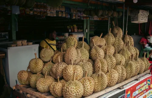 Bikin Malu! Komplotan Pencuri Durian Diarak Warga Sambil Bawa Barang Bukti, Aksi Viral 2026