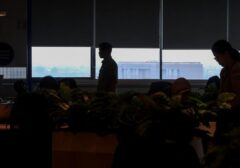 Terungkap! Ini 5 Jurus Jitu ASN 'Kabur' dari Kantor, Jarak dan Kantong Kering Jadi Biang Kerok