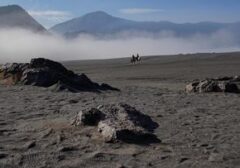 Waspada El Nino 2026: BPBD DIY Ingatkan Ancaman ISPA dan Heat Stroke