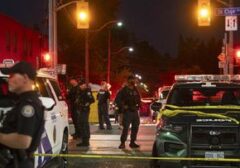 Tragedi Berdarah di Festival Salsa Toronto: Dua Nyawa Melayang dalam Baku Tembak Massal