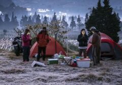 Sensasi Dingin Dieng: Embun Beku Hadir di Suhu Minus 3 Derajat Celcius, Turis Terpana
