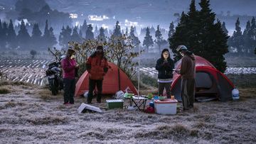 Sensasi Dingin Dieng: Embun Beku Hadir di Suhu Minus 3 Derajat Celcius, Turis Terpana