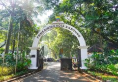 Pemerintah Perluas Jaringan Bantuan Sosial: Rincian Penambahan Kuota Penerima PKH