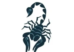 Prediksi Lengkap Scorpio 13 Juli 2026: Intip Peruntungan Asmara, Karier, hingga Finansial Anda