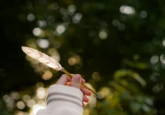 Kejutan Taylor Swift: Lagu "I Knew It, I Knew You" Jadi Jantung Toy Story 5, Fans Bertepuk Tangan!