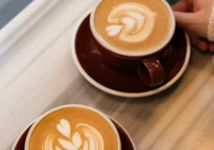 Ngopi Tanpa Was-Was: Panduan Lengkap untuk Lambung Sensitif di Tahun 2026
