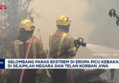 Eropa Membara: Suhu Mendidih Picu Kebakaran Liar di Seluruh Benua
