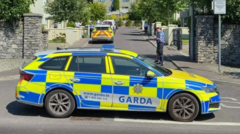 Misteri Kematian Jamey Carney: Polisi Irlandia Gandeng Jordan