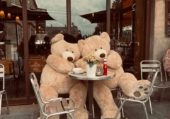 Ruang Kerja Seskab Teddy Indra Wijaya Jadi Sorotan: Foto Bareng Prabowo di Paris dan Kandang Burung Mewah Tuai Kritik