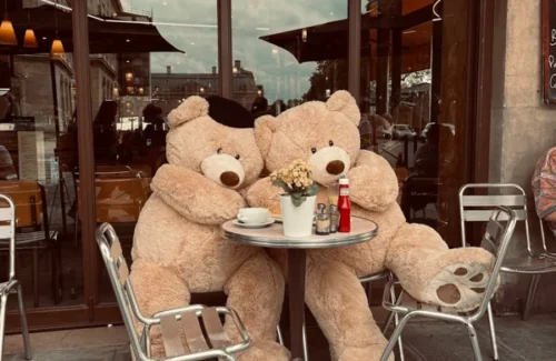 Ruang Kerja Seskab Teddy Indra Wijaya Jadi Sorotan: Foto Bareng Prabowo di Paris dan Kandang Burung Mewah Tuai Kritik