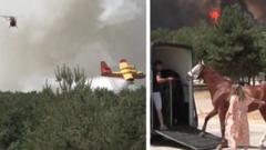 Api Mengamuk di Hutan Fontainebleau: Kuda-Kuda Dievakuasi dari Pusat Kuda Dekat Paris