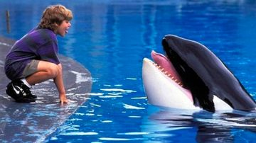Kisah Kebebasan Orca Klasik Hidup Kembali: Free Willy Siap Di-reboot dengan Sentuhan Baru