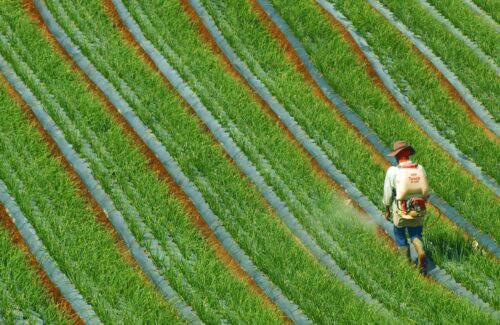 Analisis Risiko Kecelakaan Kerja di Sektor Pertanian dan Urgensi Kepesertaan JKK