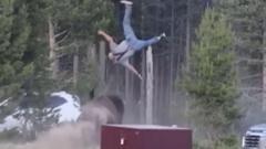 Tragedi di Yellowstone: Kakek Terlempar Jauh Akibat Serangan Bison Saat Bersama Cucu
