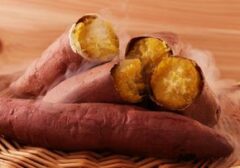 Strategi Jitu Tetap Kenyang Saat Defisit Kalori: 7 Pilihan Makanan Andal