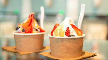 Klarifikasi Ahli: Benarkah Frozen Yogurt Pilihan Lebih Sehat Dibanding Es Krim?