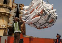 Bulog Lampaui 80% Target Serapan Gabah, Beri Angin Segar Petani di Pertengahan 2026