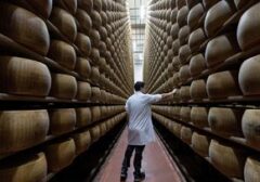Ancaman Kekeringan: Produksi Parmigiano Reggiano Italia di Ambang Krisis Akibat Gelombang Panas