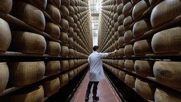 Ancaman Kekeringan: Produksi Parmigiano Reggiano Italia di Ambang Krisis Akibat Gelombang Panas