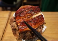 Lebih dari Sushi: Jelajahi Kelezatan 10 Kuliner Jepang yang Wajib Dicicipi Pecinta Rasa