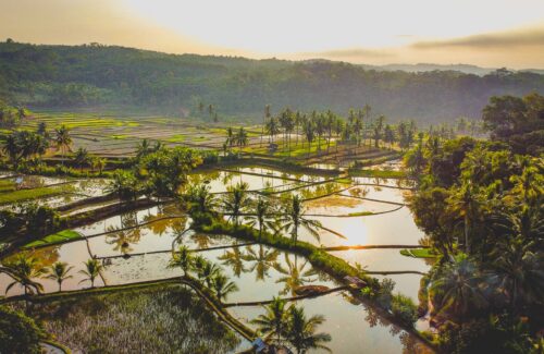 Ketika Bantuan Sosial Tumpang Tindih di Desa: Siapa yang Sebenarnya Dirugikan?